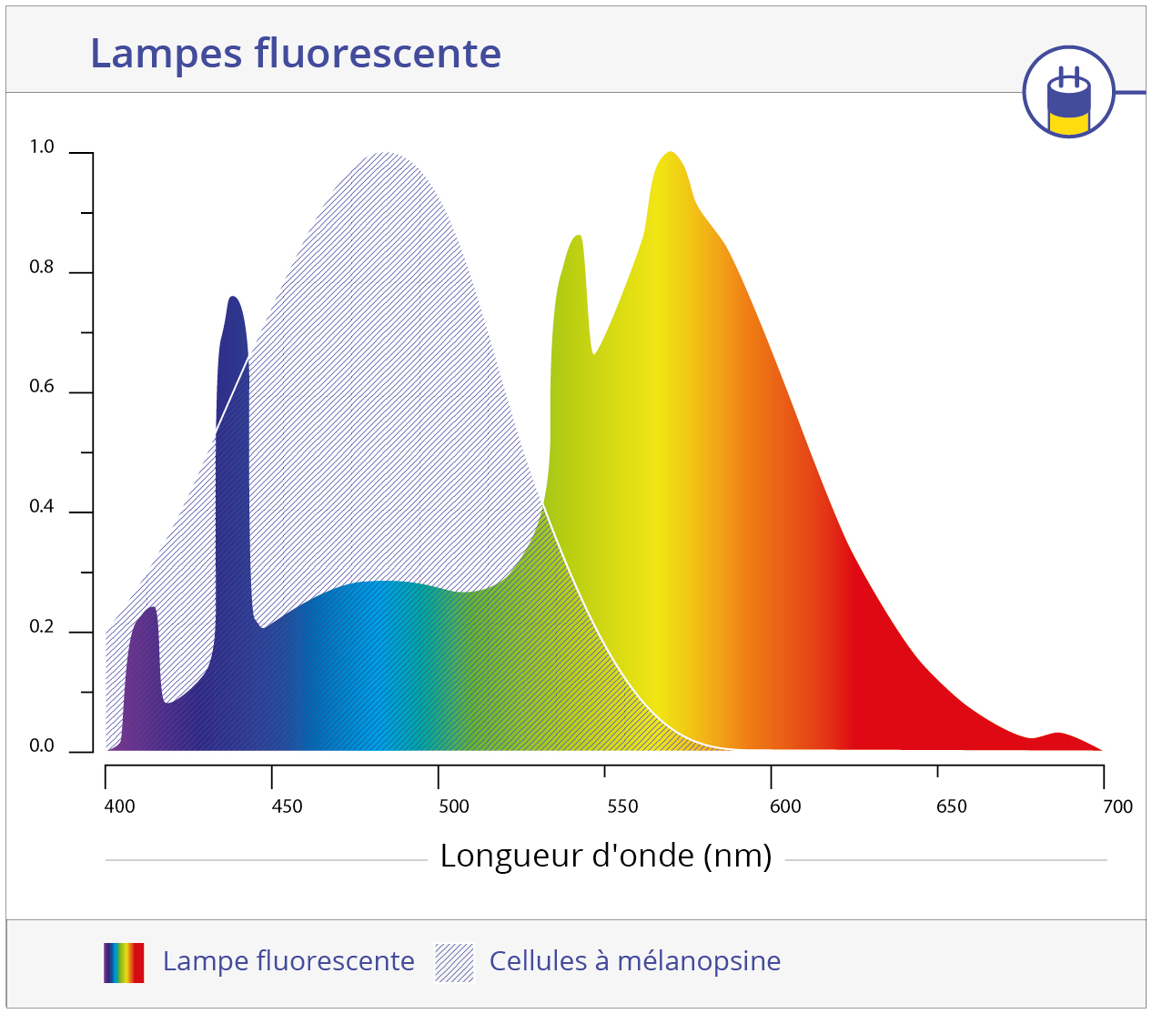 Cellule mélanopsine et fluorescence